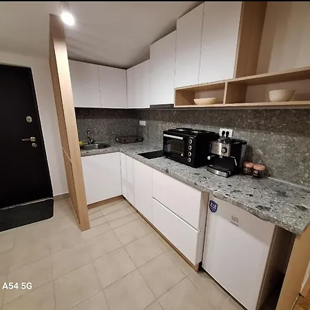 Apartment Centrala *